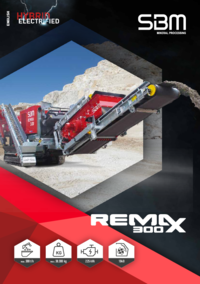 REMAX 300 pdf